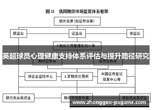 英超球员心理健康支持体系评估与提升路径研究