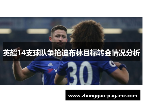 英超14支球队争抢迪布林目标转会情况分析