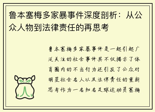 鲁本塞梅多家暴事件深度剖析：从公众人物到法律责任的再思考
